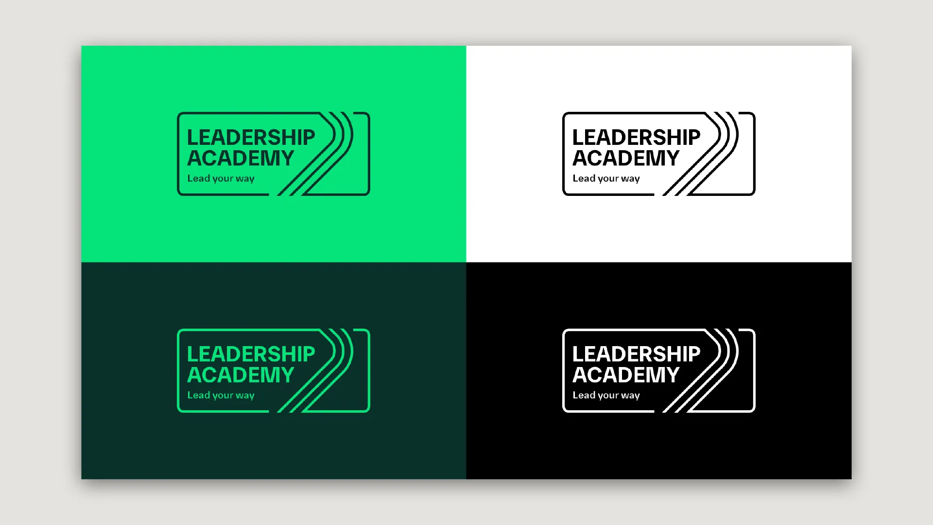 artfatale-case-boehringer-ingelheim-leadership-academy-2