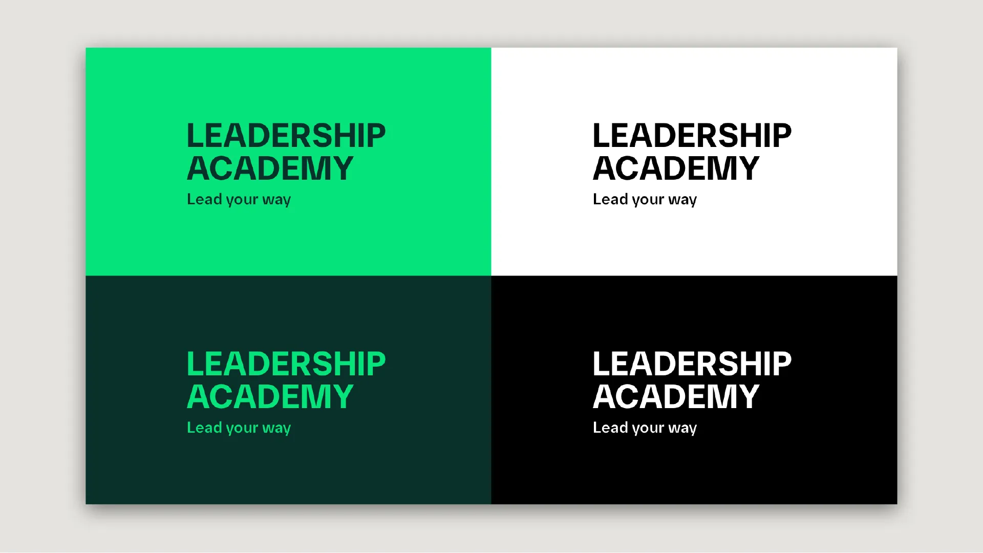 artfatale-case-boehringer-ingelheim-leadership-academy-3